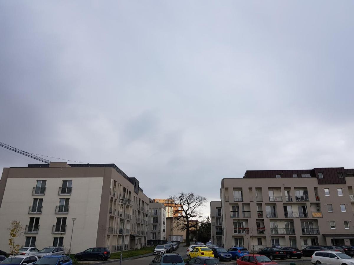 Confort Apartment